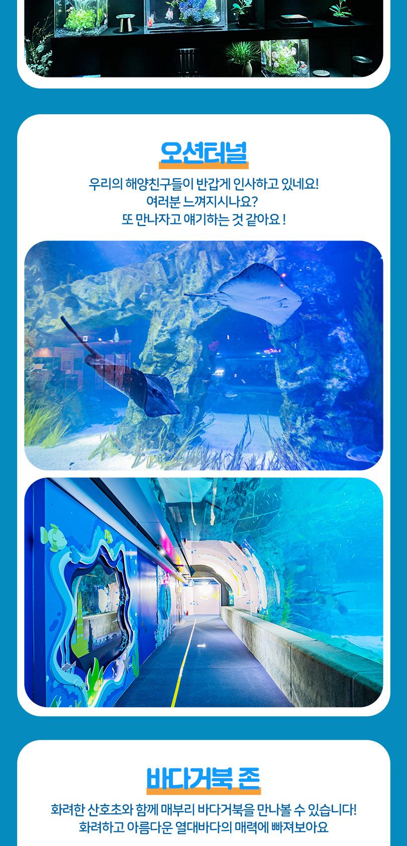 상품 상세 이미지 19