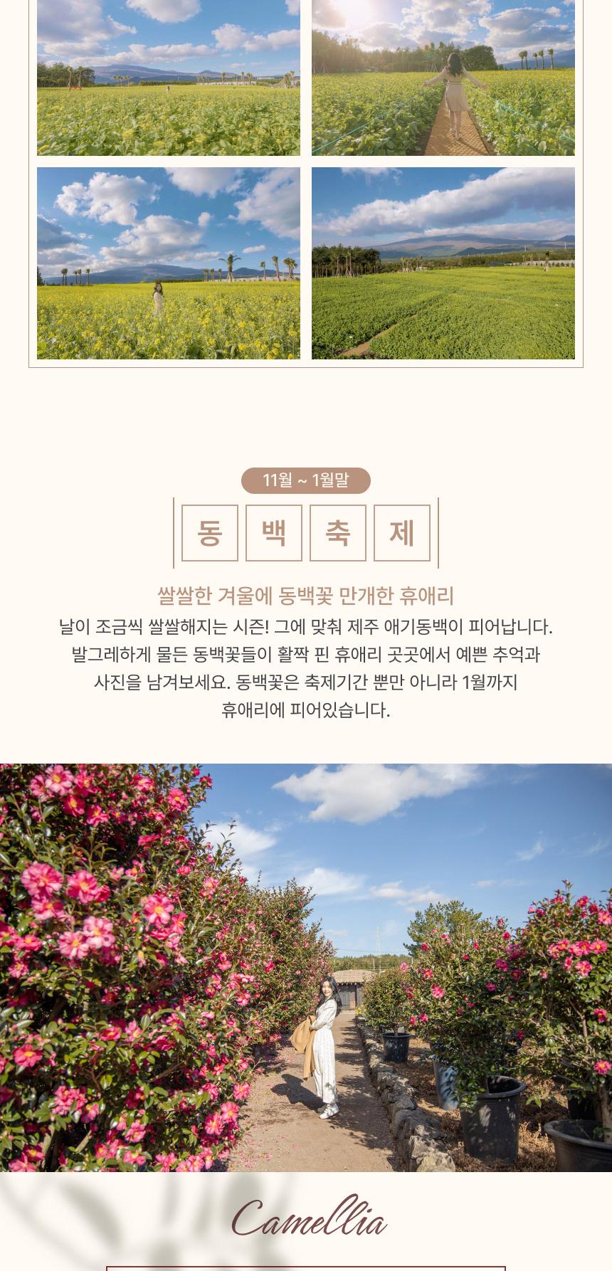 상품 상세 이미지 14