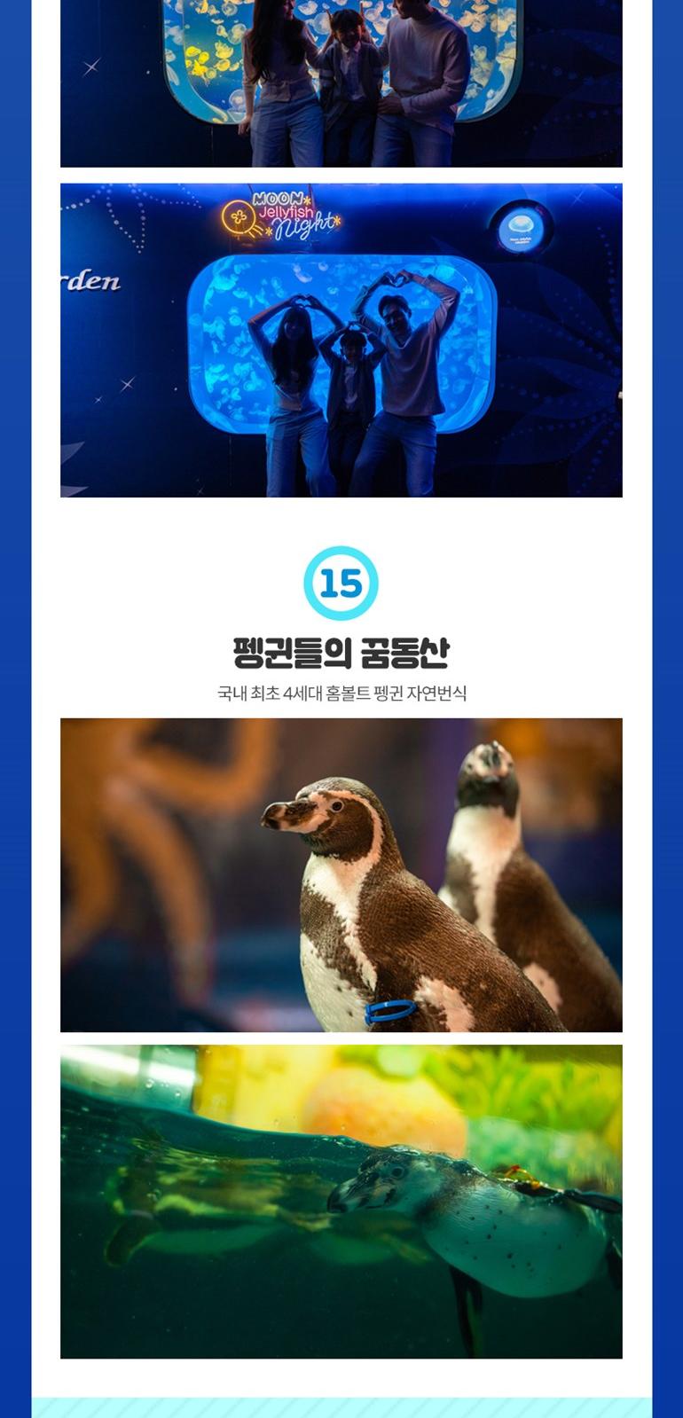 상품 상세 이미지 15