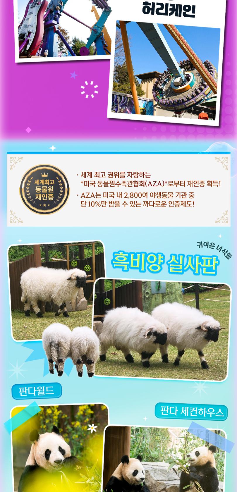 상품 상세 이미지 11