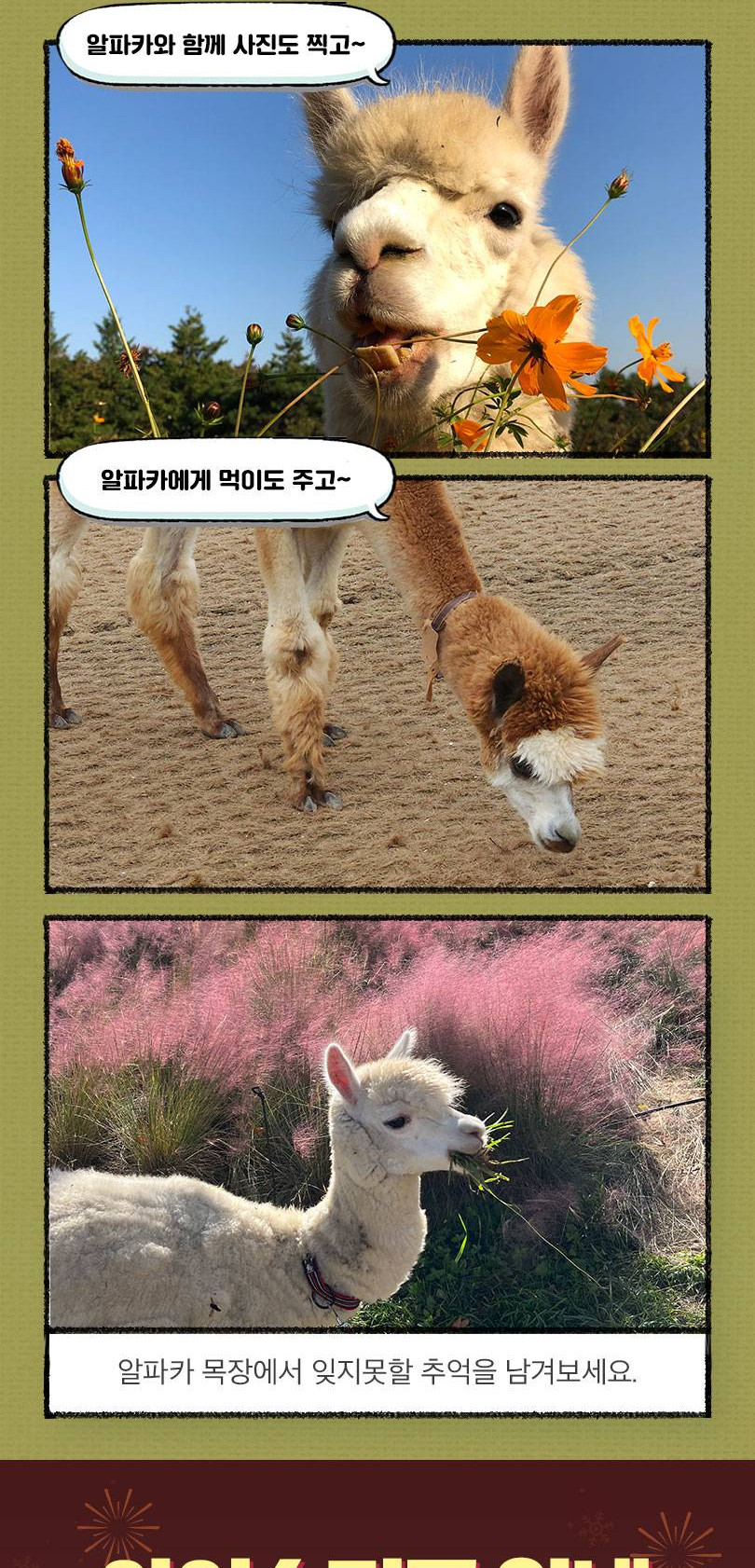 상품 상세 이미지 9