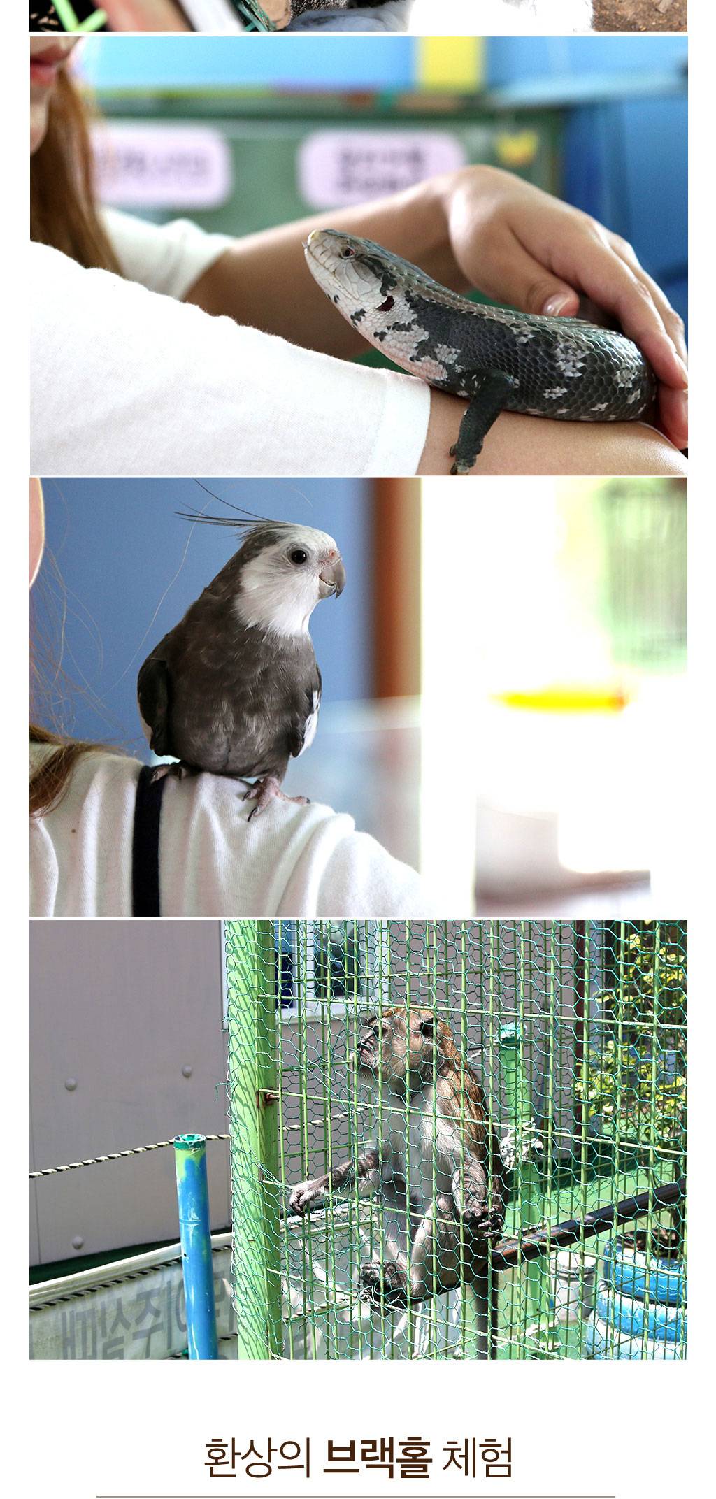 상품 상세 이미지 6