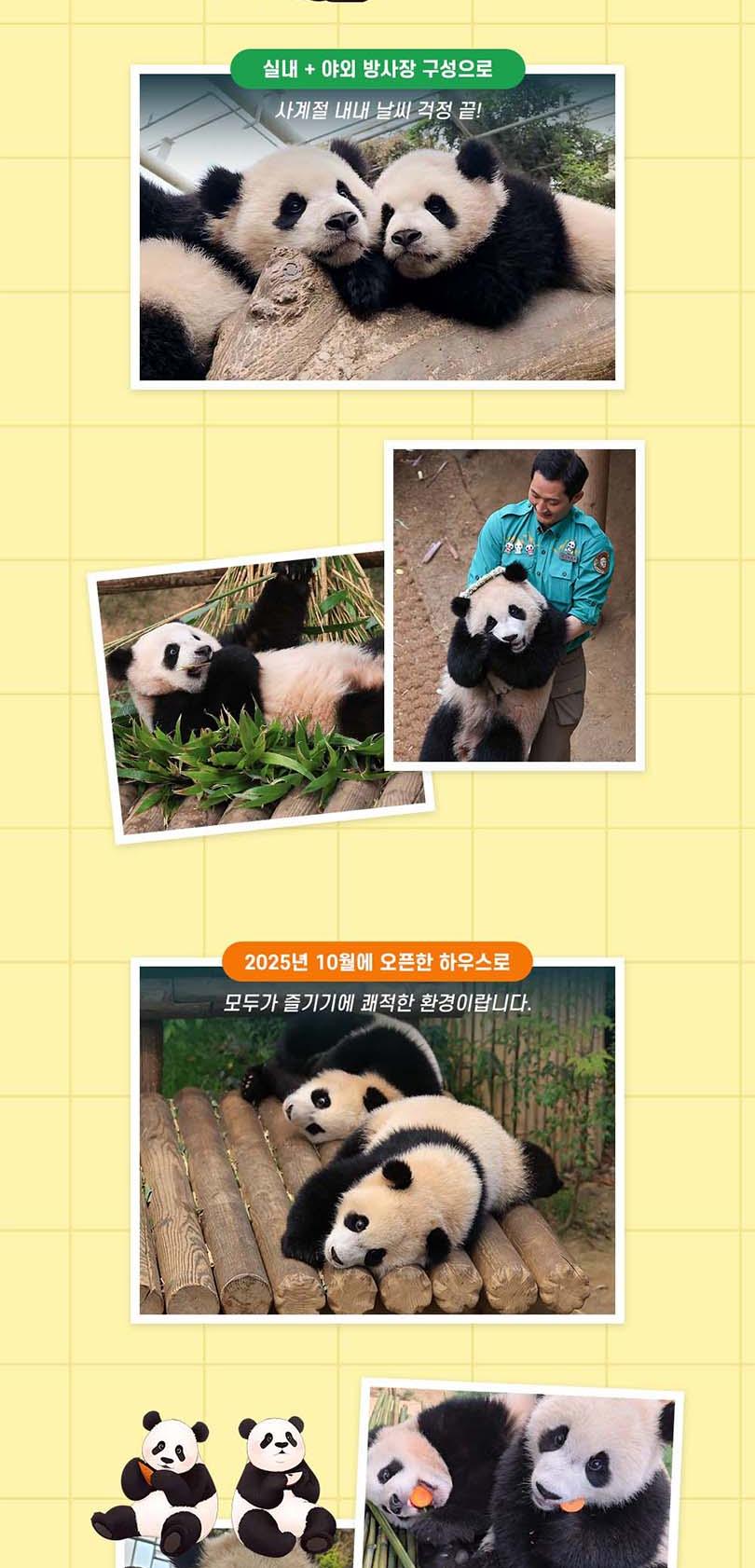 상품 상세 이미지 6