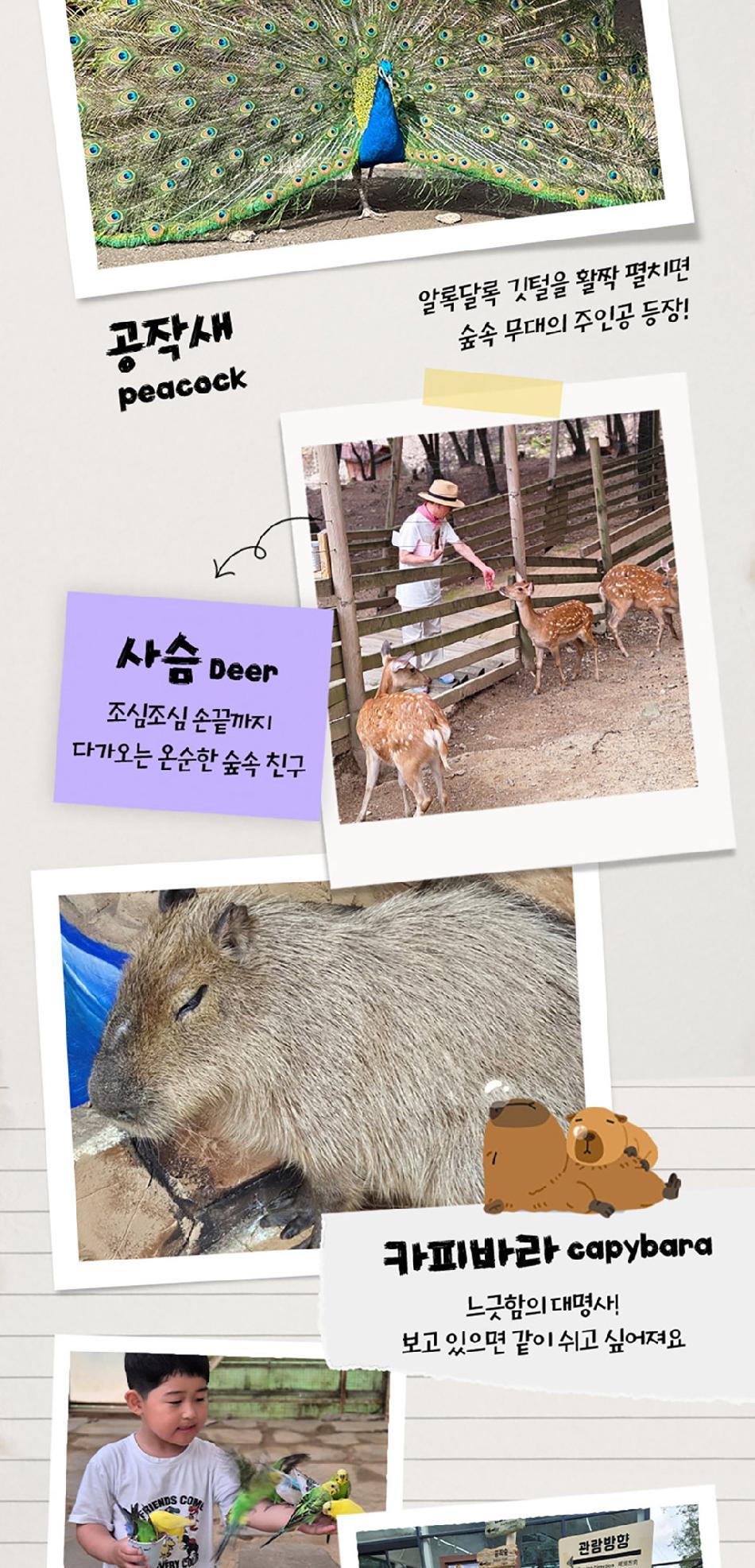 상품 상세 이미지 14