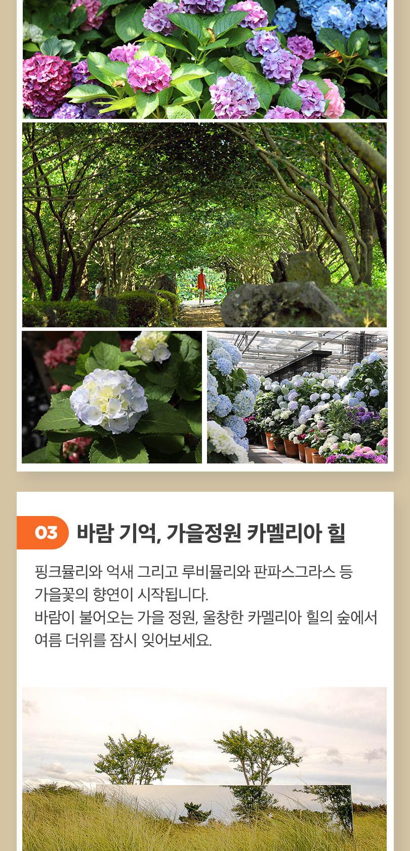 상품 상세 이미지 6