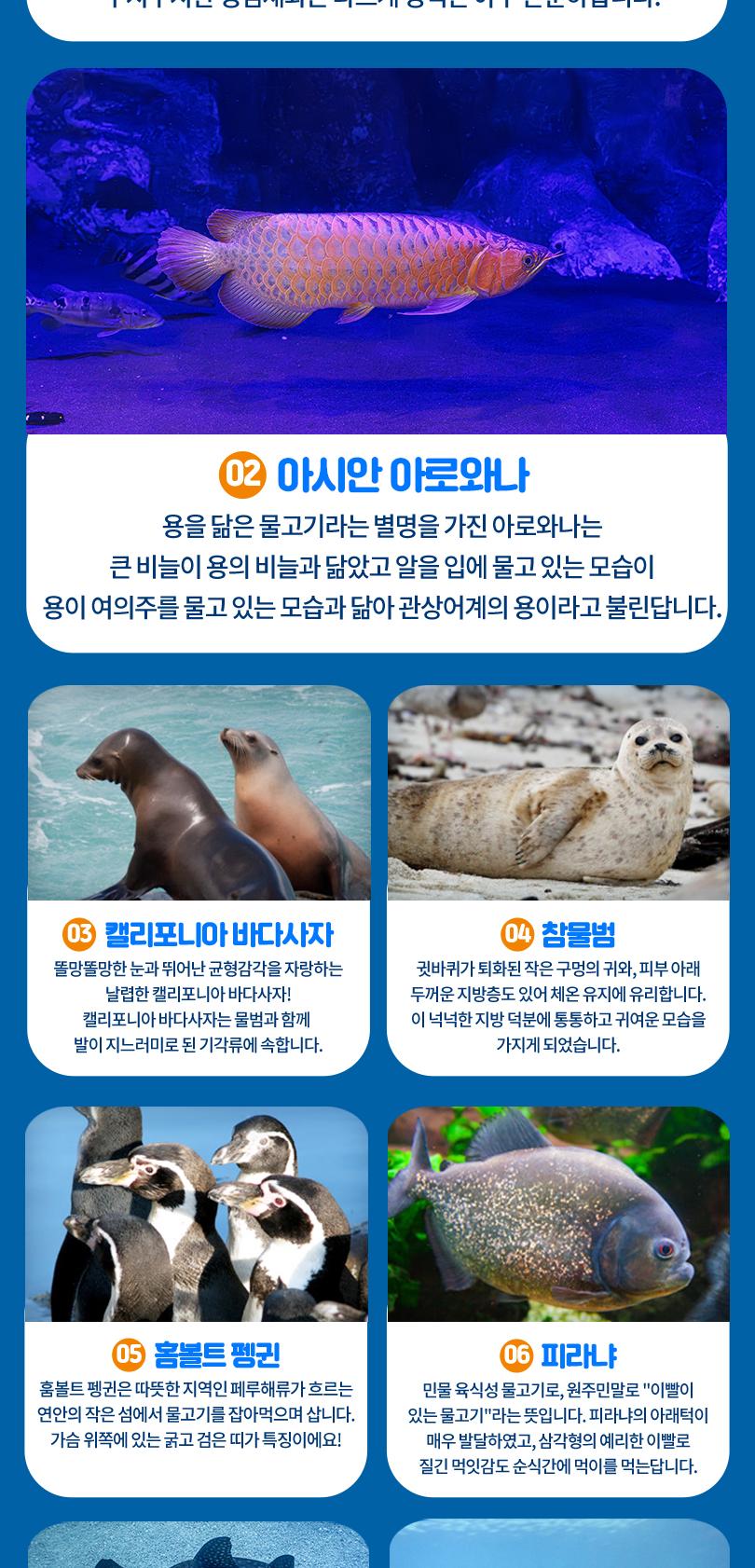 상품 상세 이미지 8