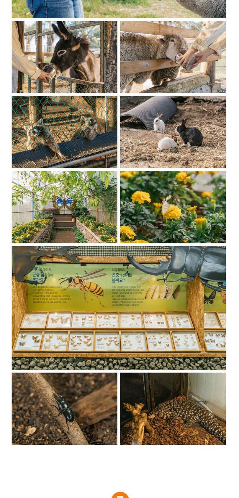 상품 상세 이미지 5