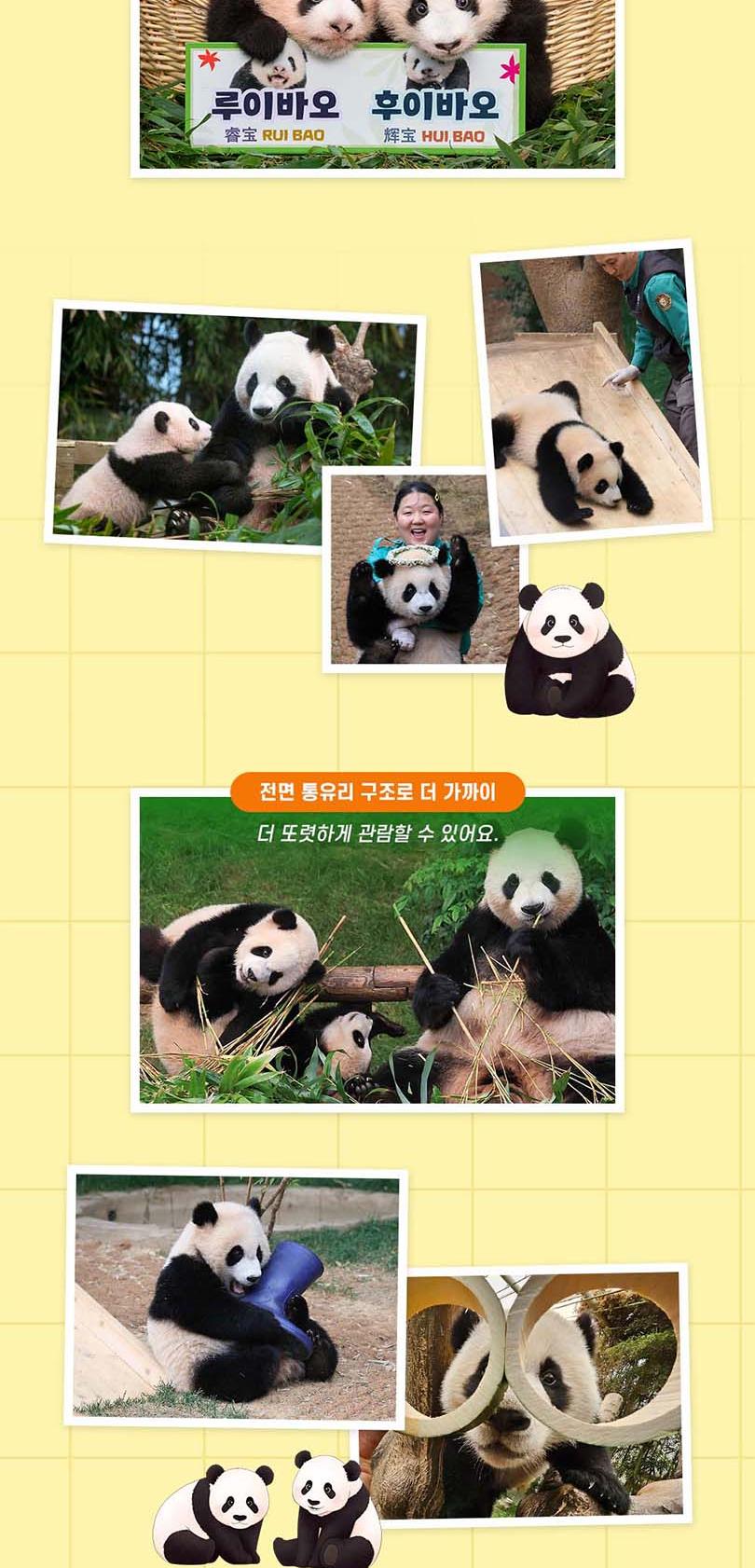 상품 상세 이미지 5