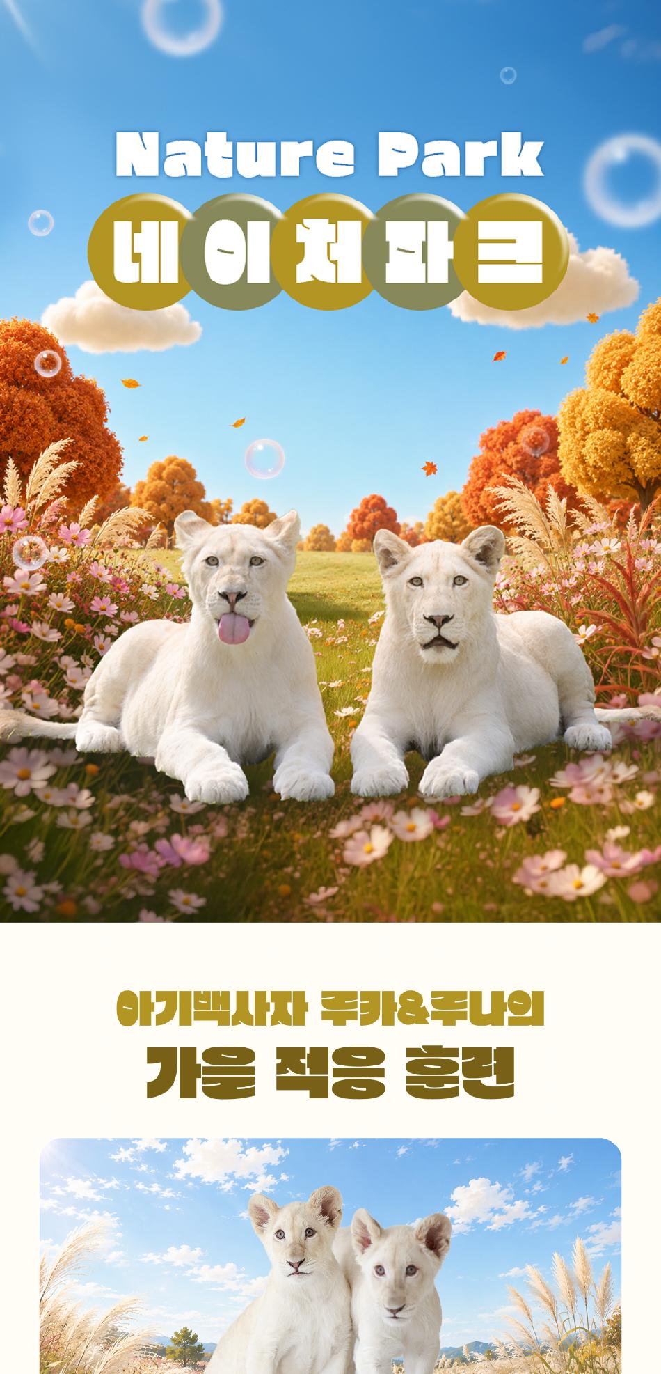 상품 상세 이미지 3
