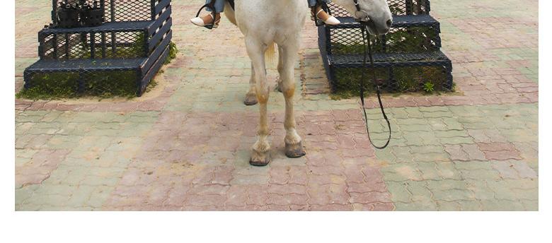 상품 상세 이미지 6