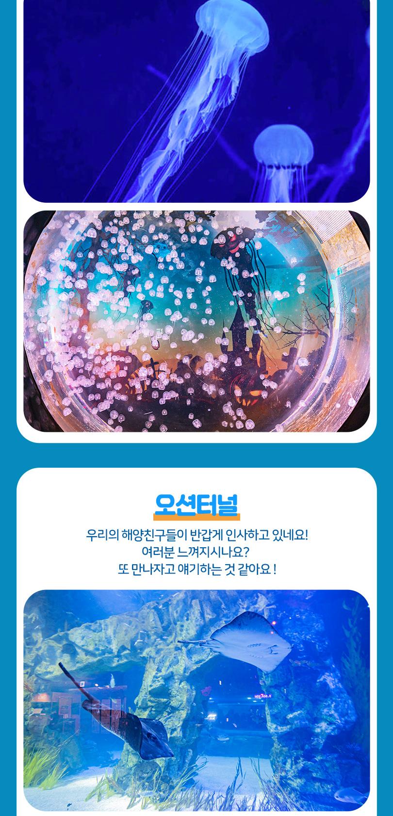 상품 상세 이미지 19