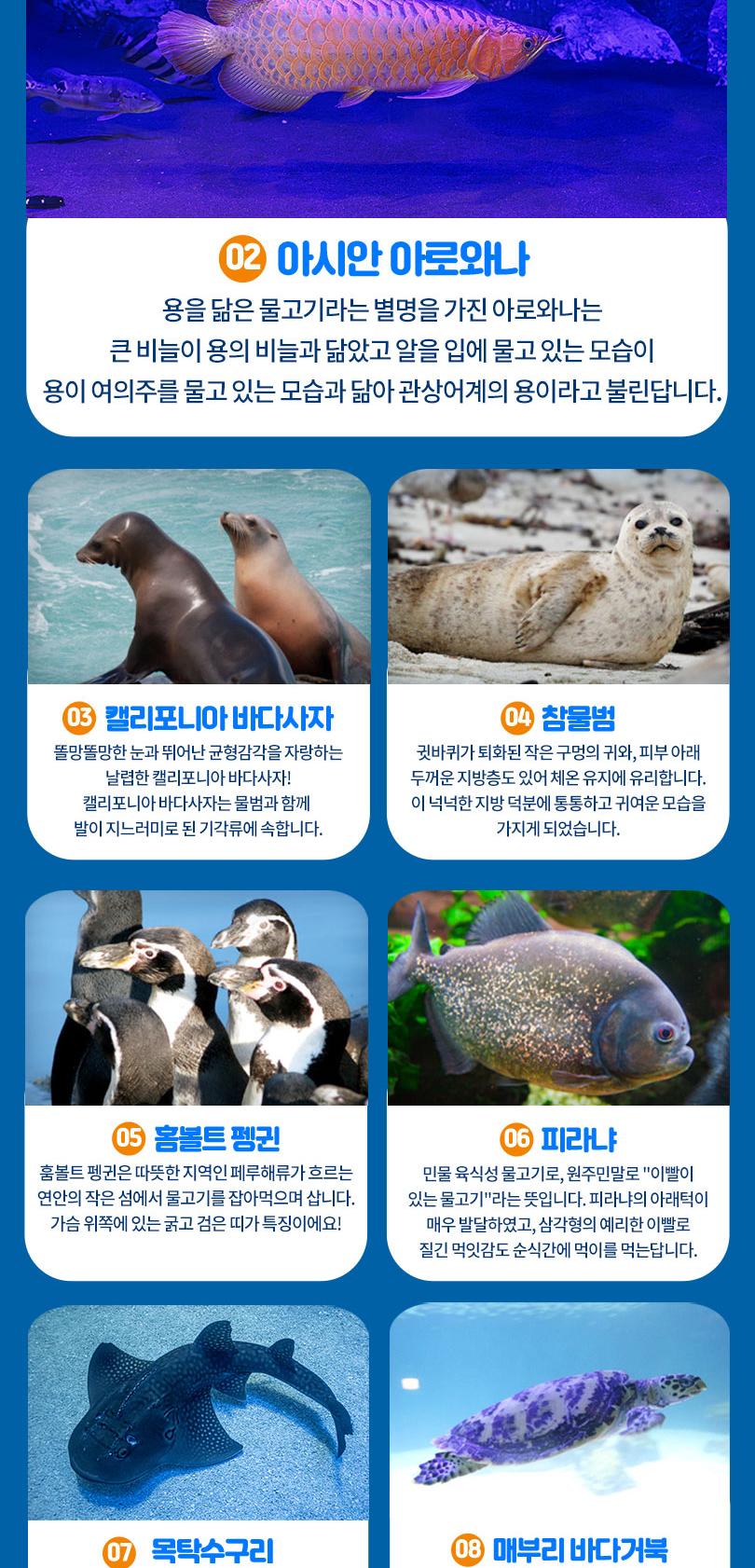 상품 상세 이미지 9