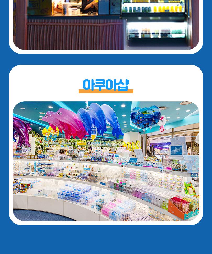 롯데월드 아쿠아리움+챔피언더블랙벨트 잠실점PKG