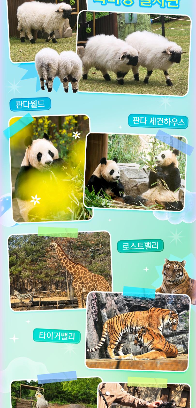상품 상세 이미지 13