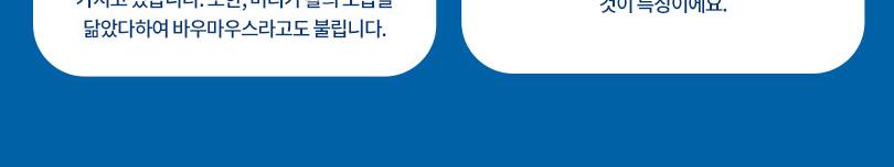 상품 상세 이미지 11
