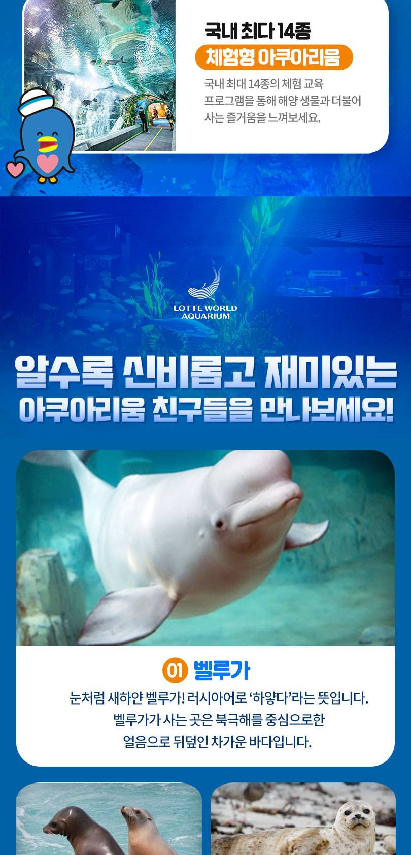 상품 상세 이미지 7