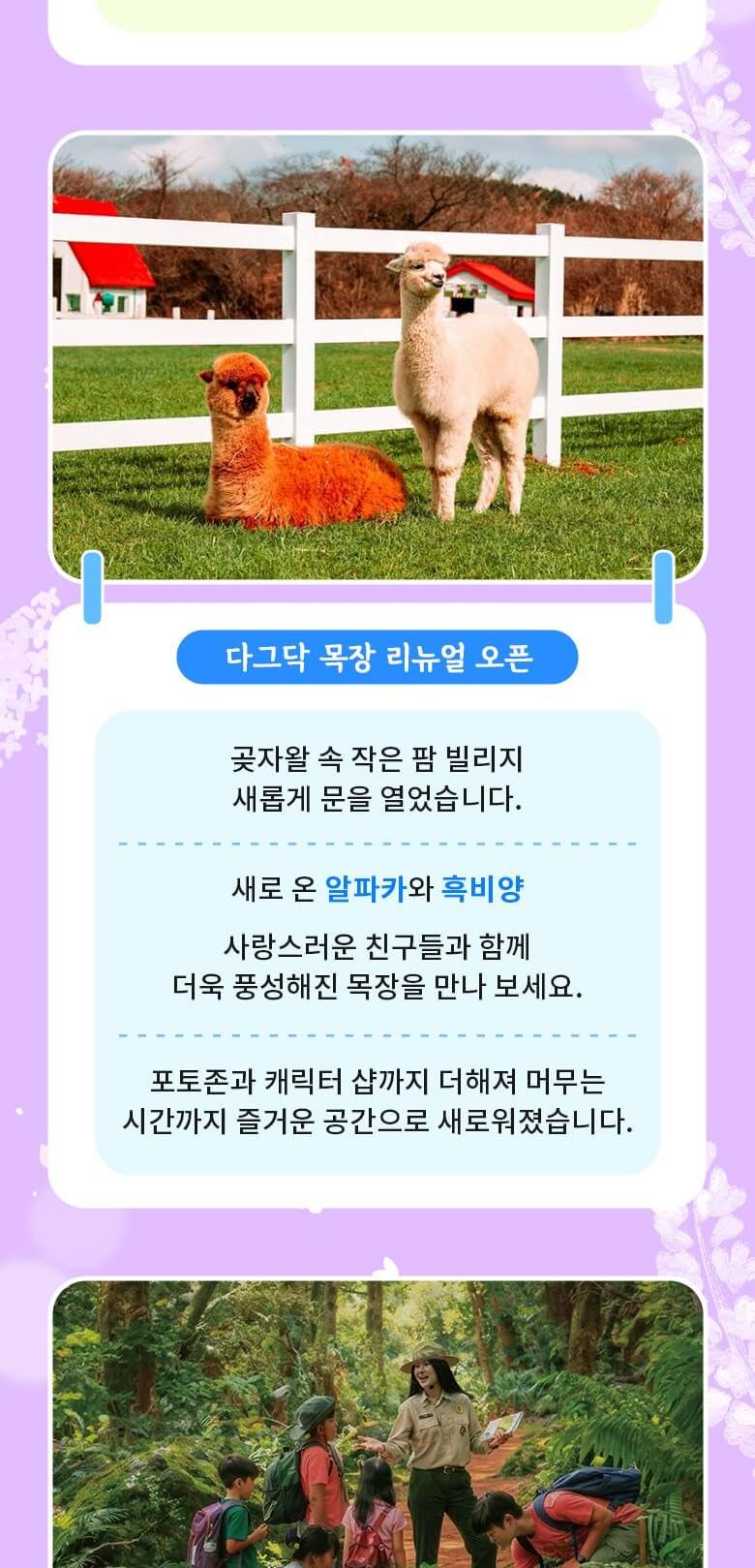 상품 상세 이미지 12