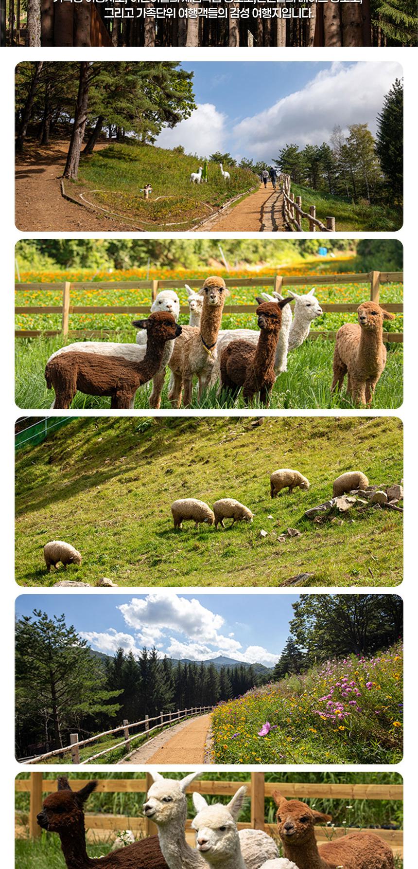 상품 상세 이미지 3