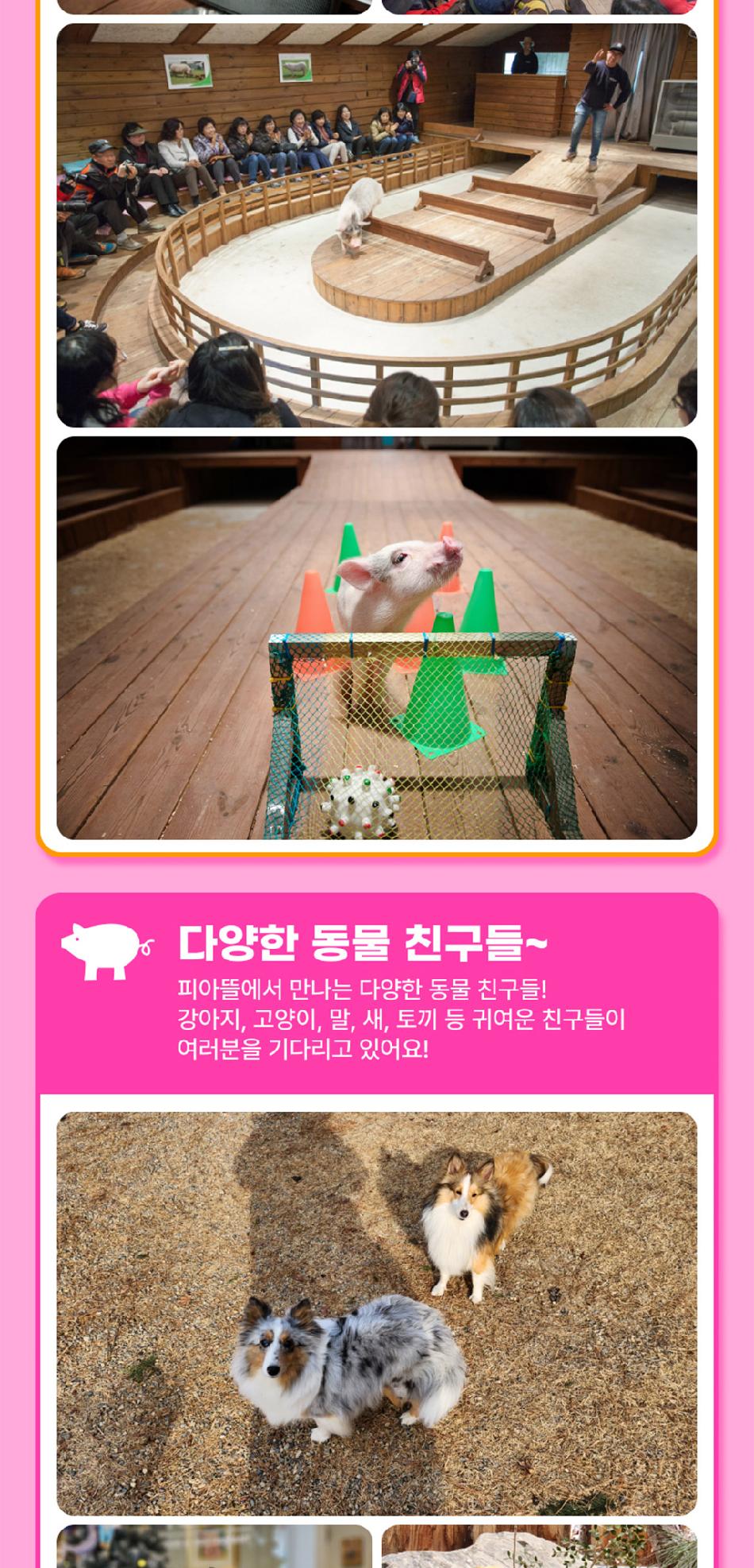 상품 상세 이미지 10