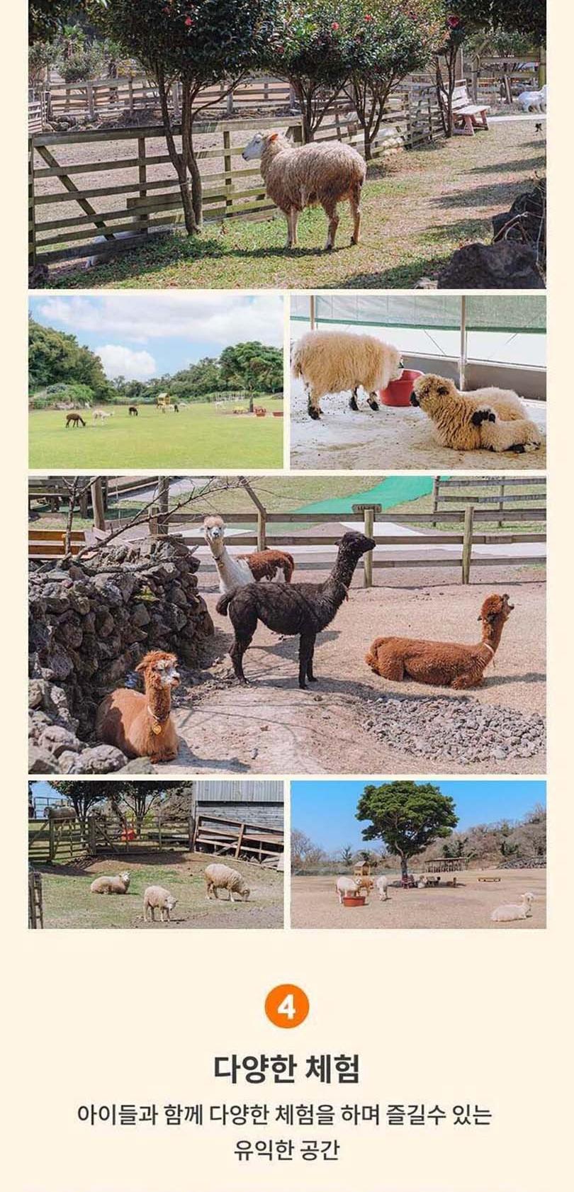 상품 상세 이미지 5