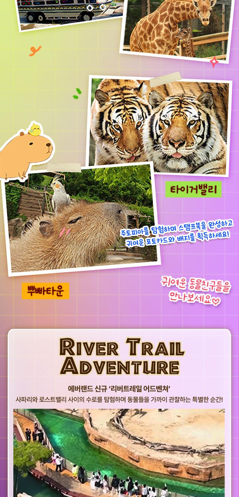 상품 상세 이미지 16