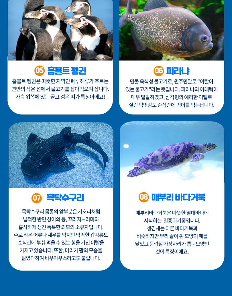 상품 상세 이미지 10