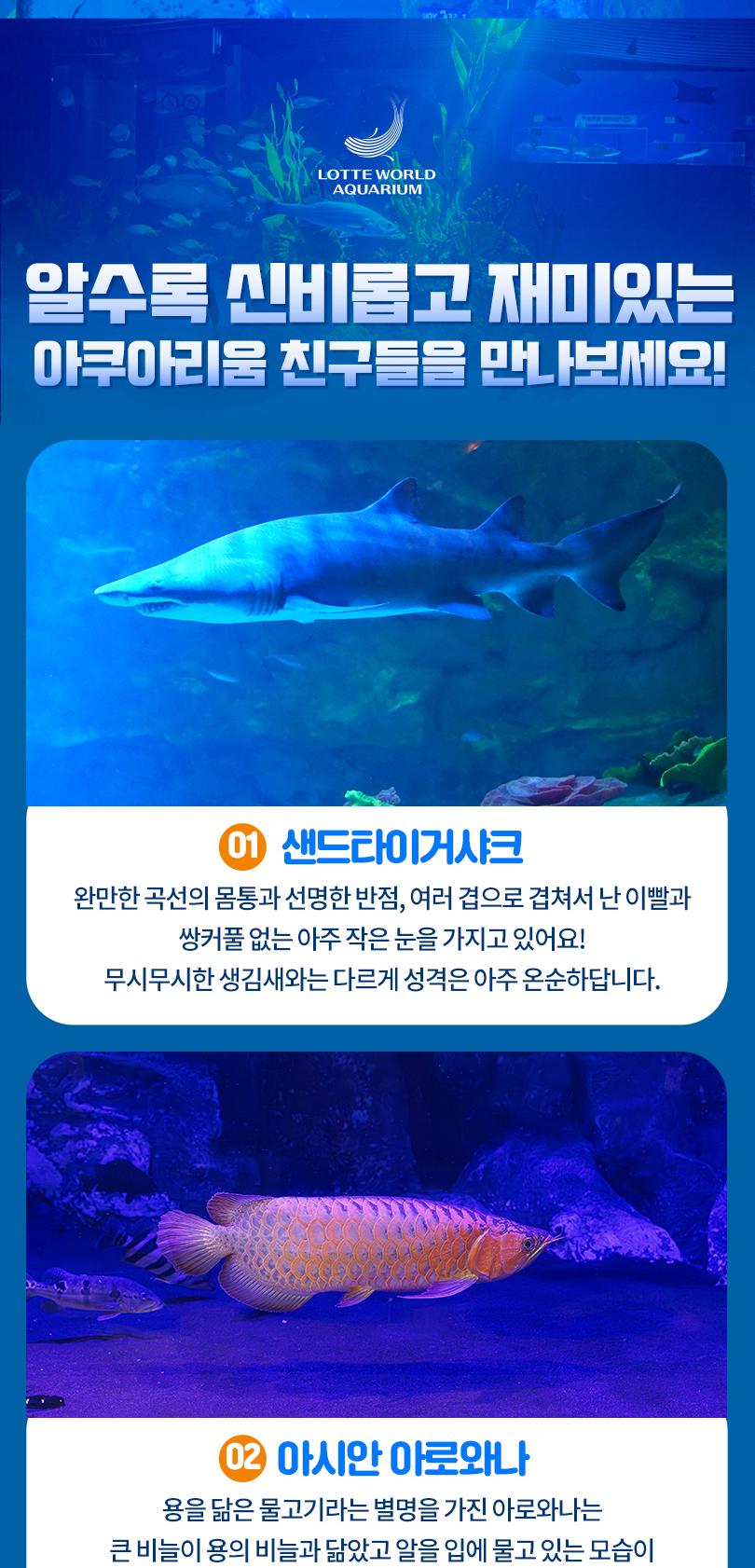 상품 상세 이미지 11