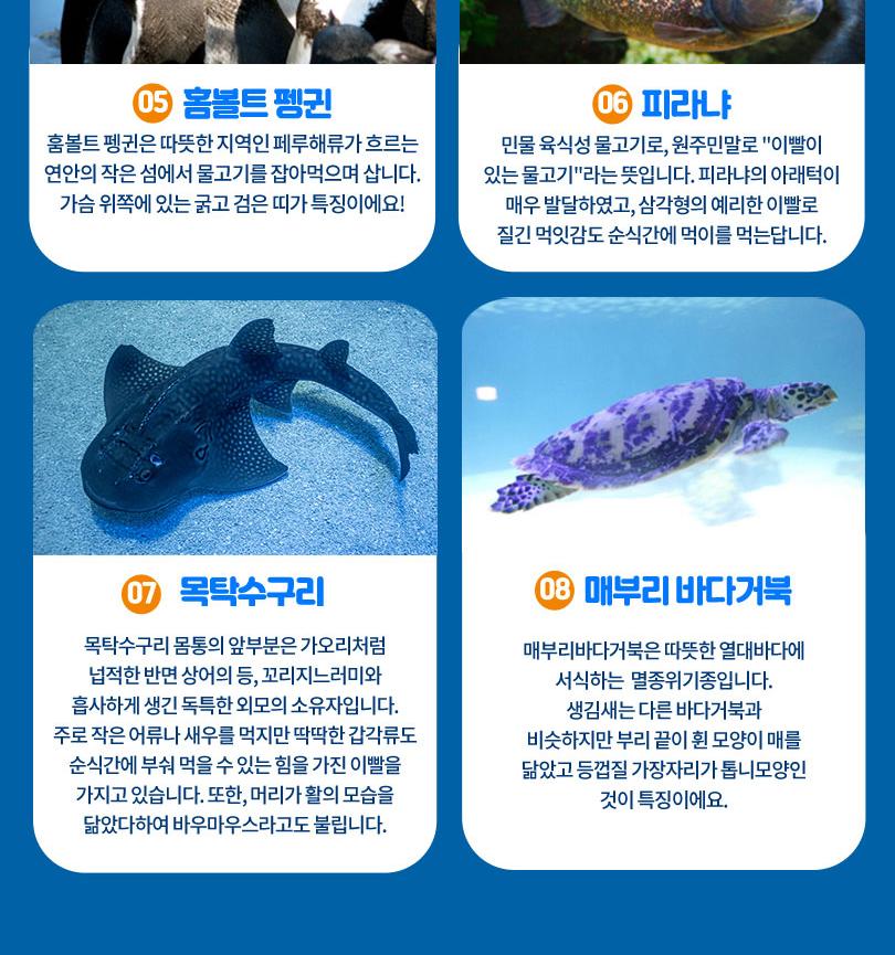 상품 상세 이미지 10