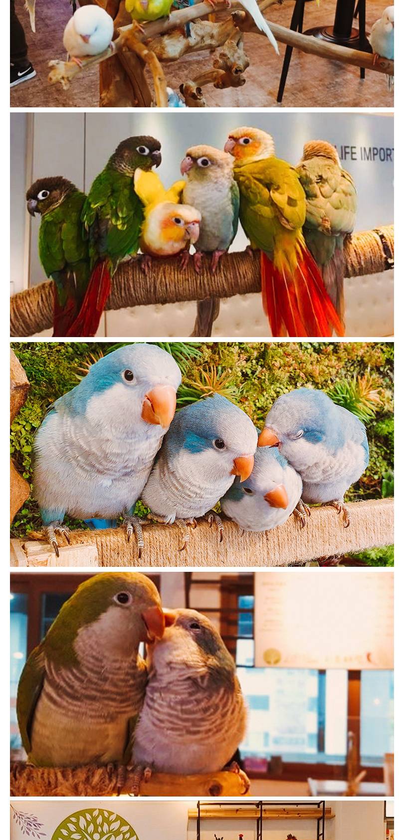 상품 상세 이미지 4