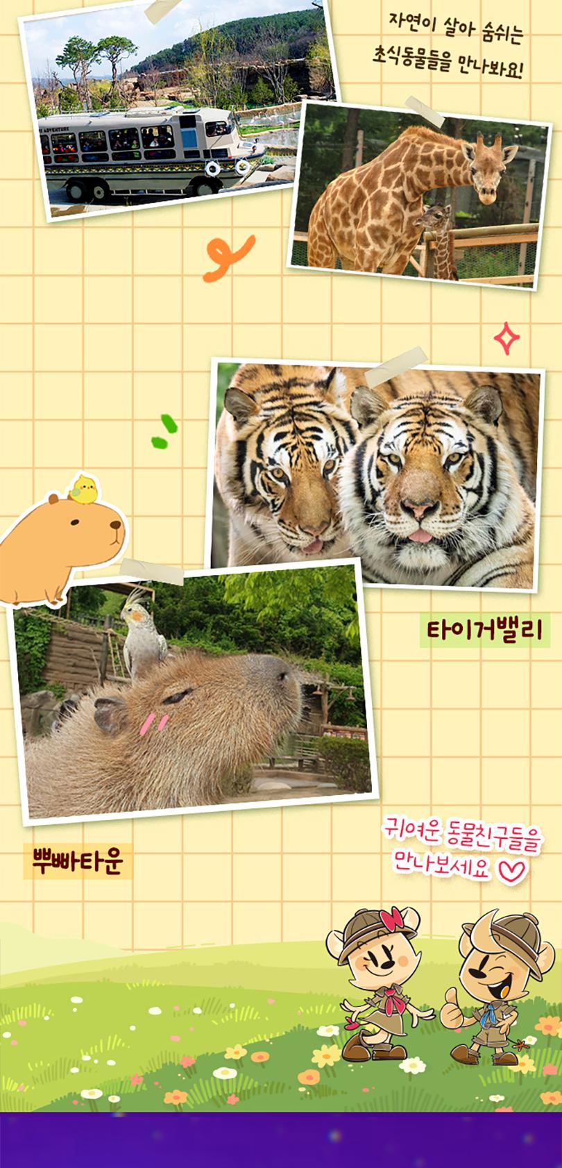 상품 상세 이미지 12