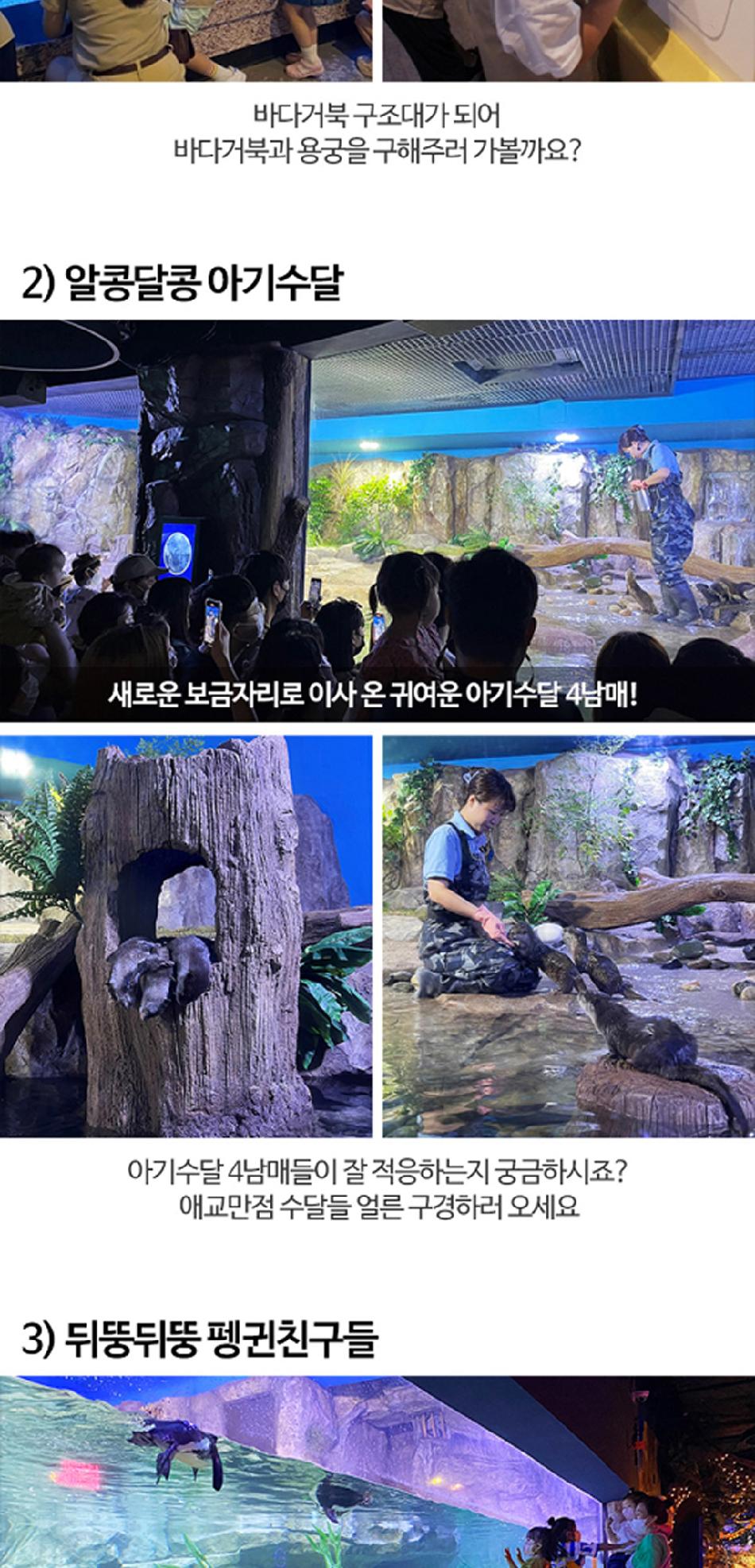 상품 상세 이미지 17