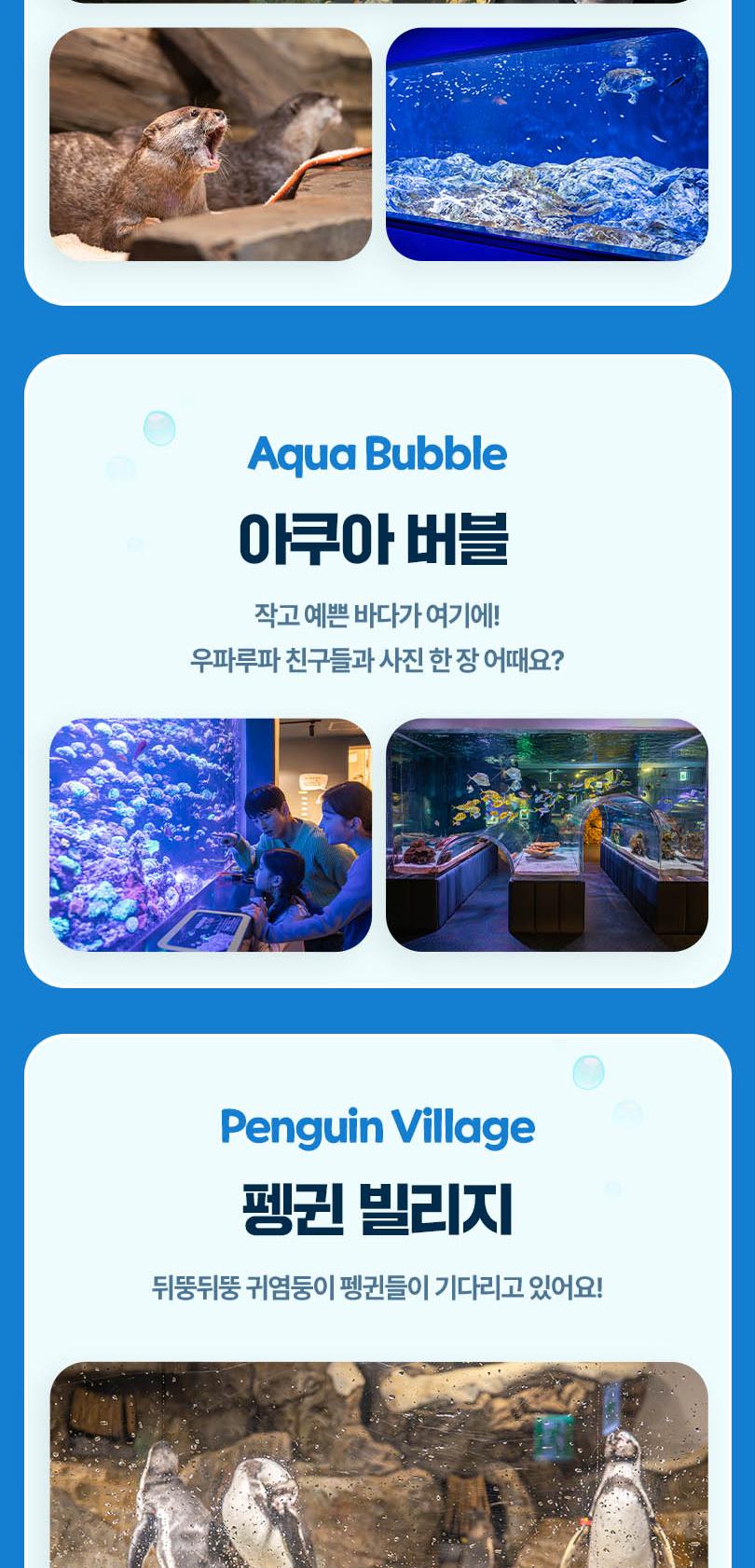 [광교] 아쿠아플라넷 입장권