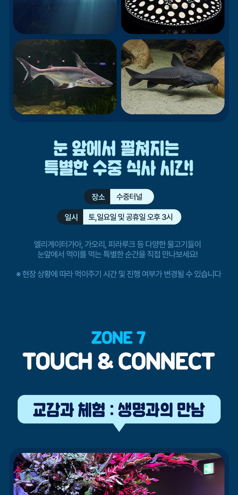 시흥 거북섬 더베이54 아쿠아리움 체험형 관상어 테마파크