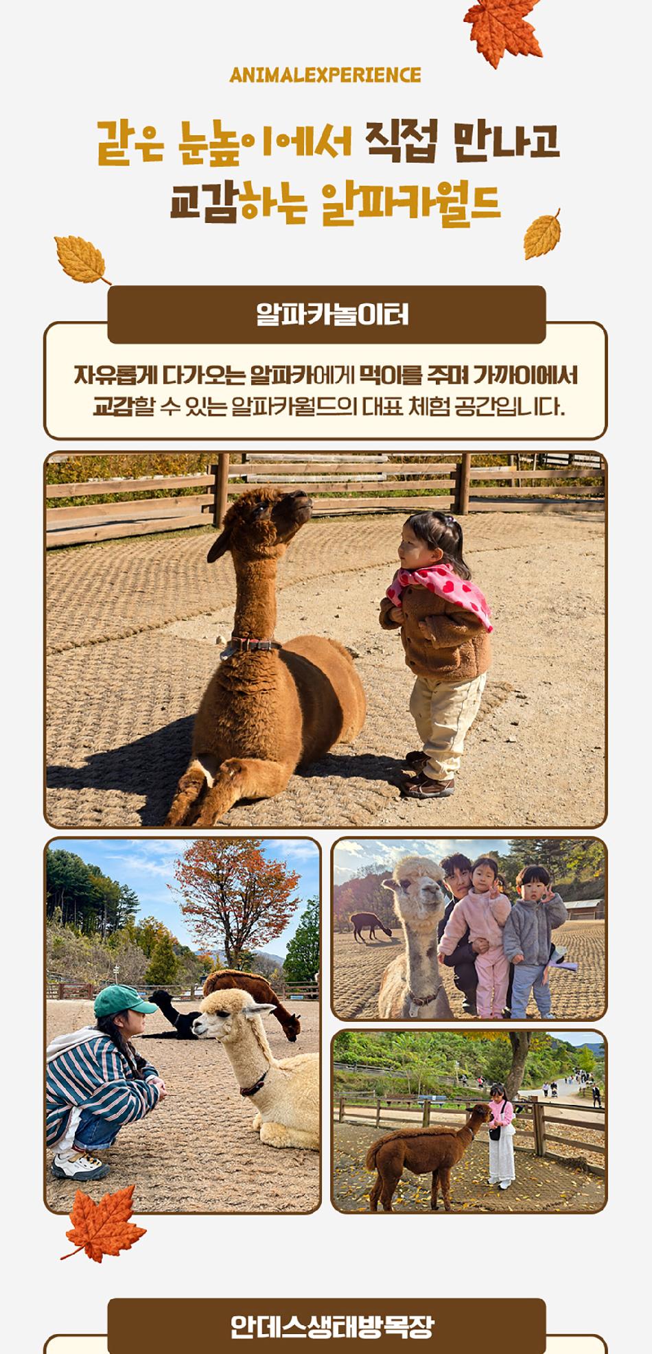 상품 상세 이미지 6