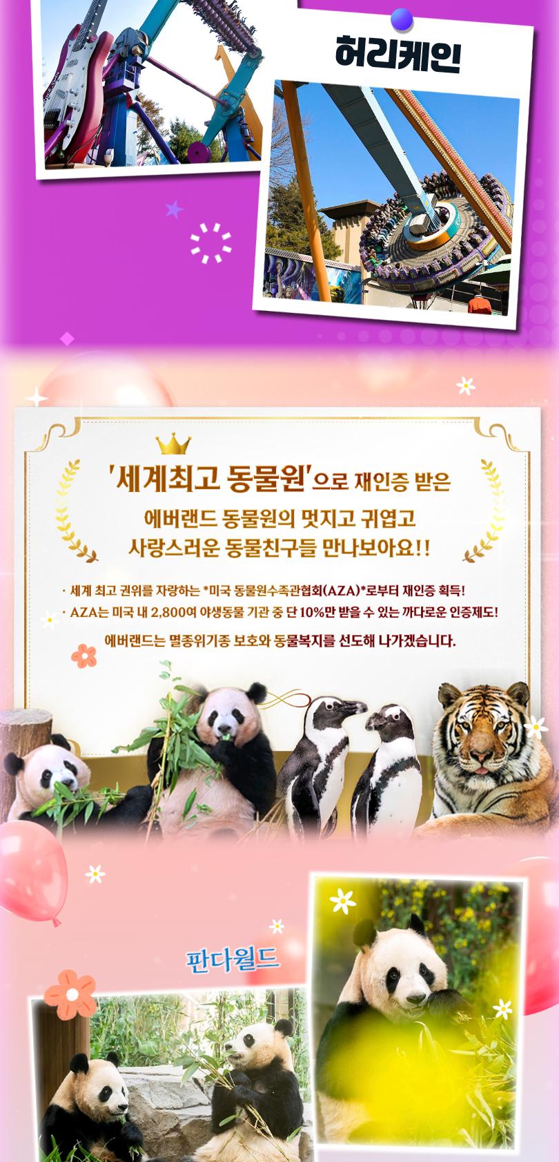 상품 상세 이미지 11