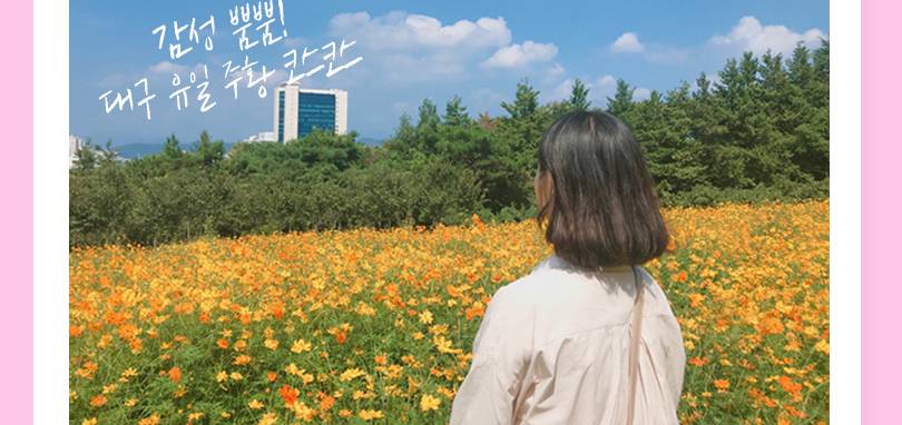 상품 상세 이미지 11