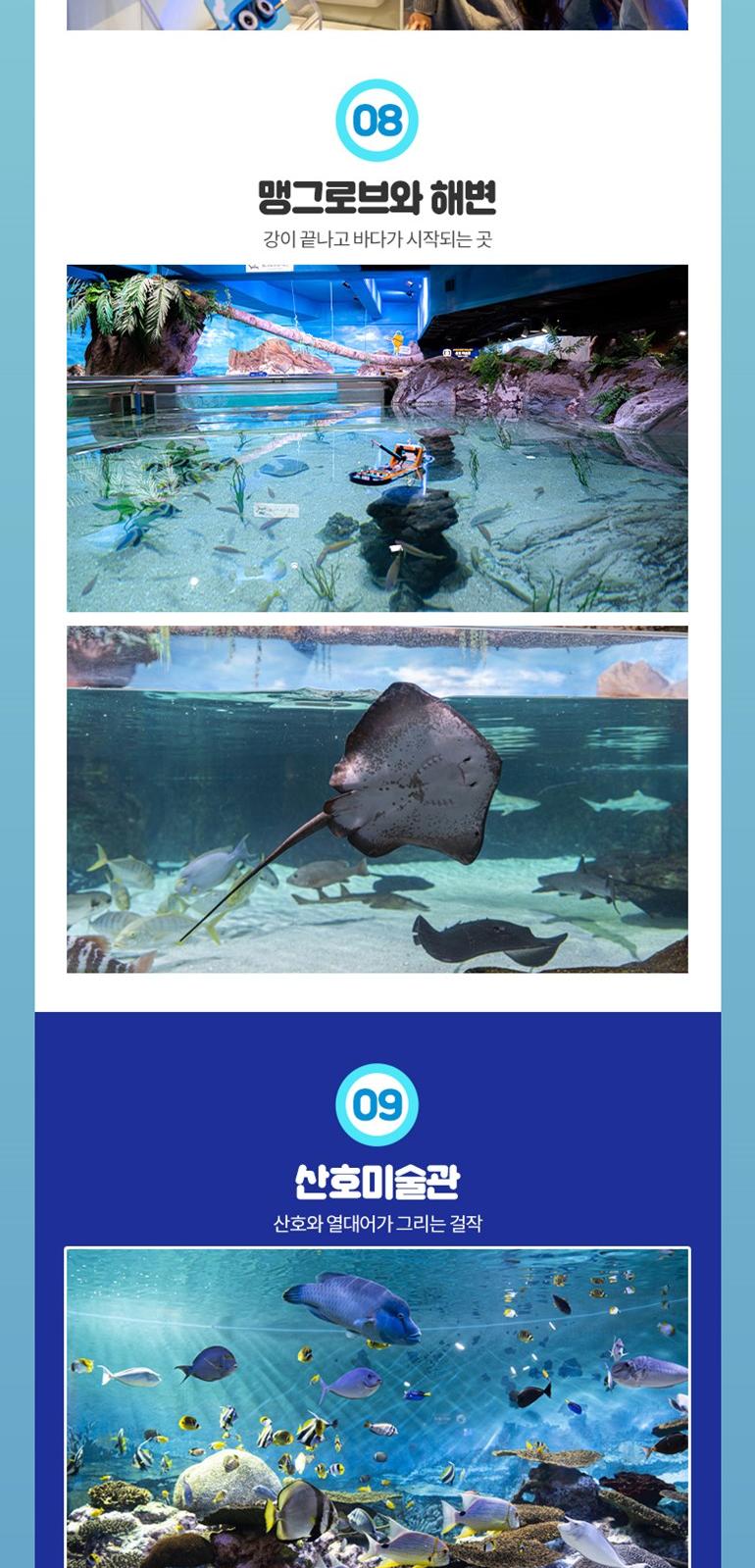 상품 상세 이미지 11