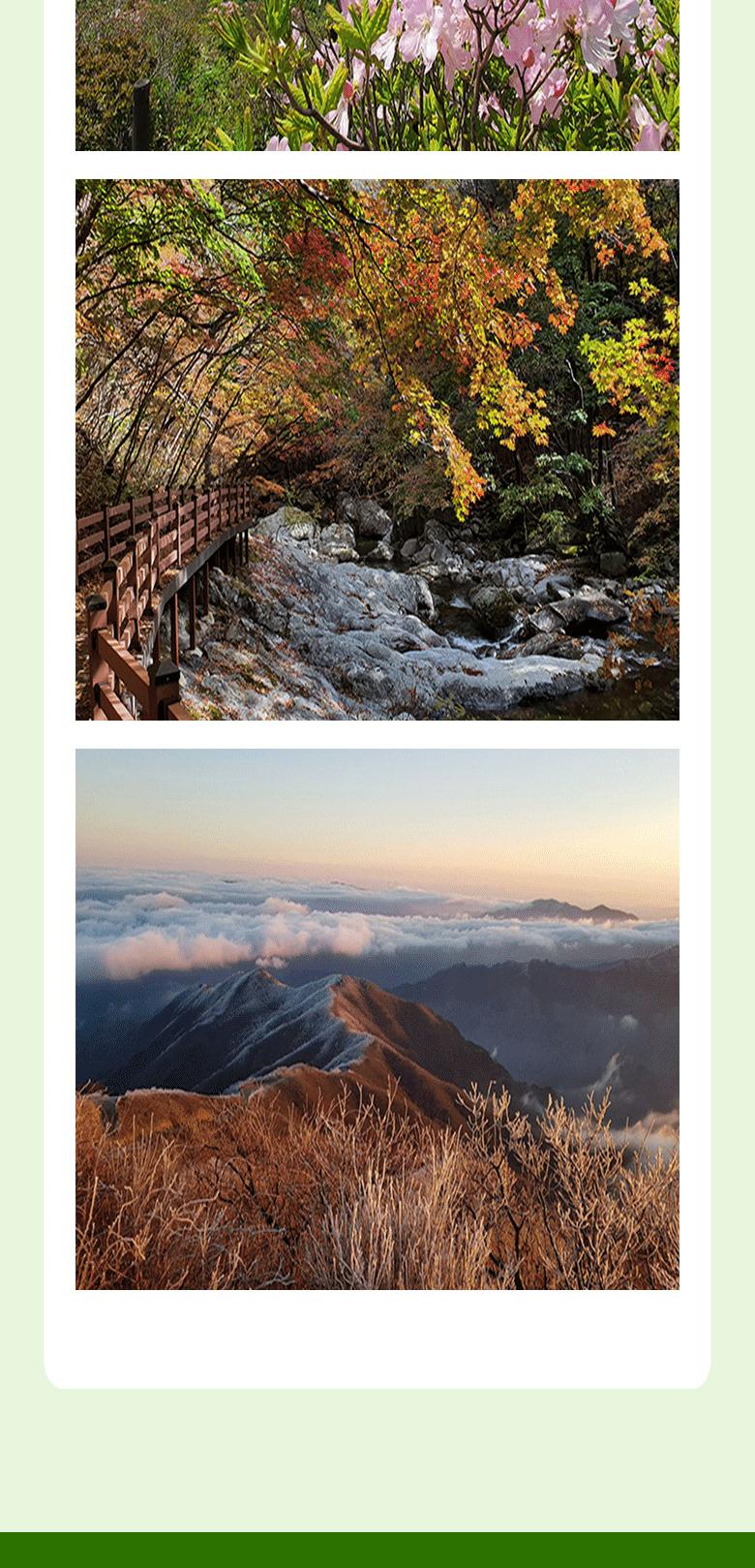 상품 상세 이미지 9