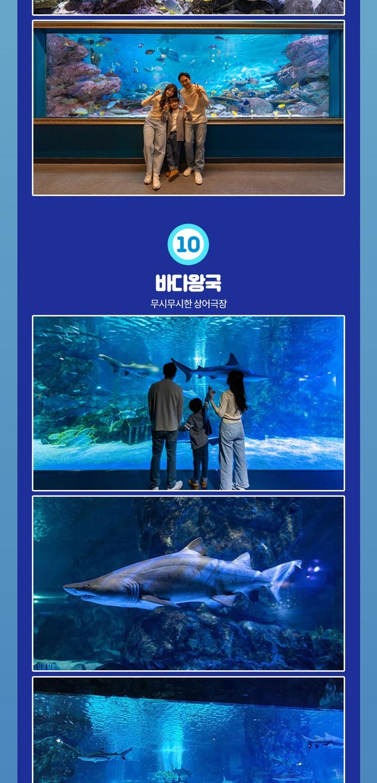 상품 상세 이미지 12