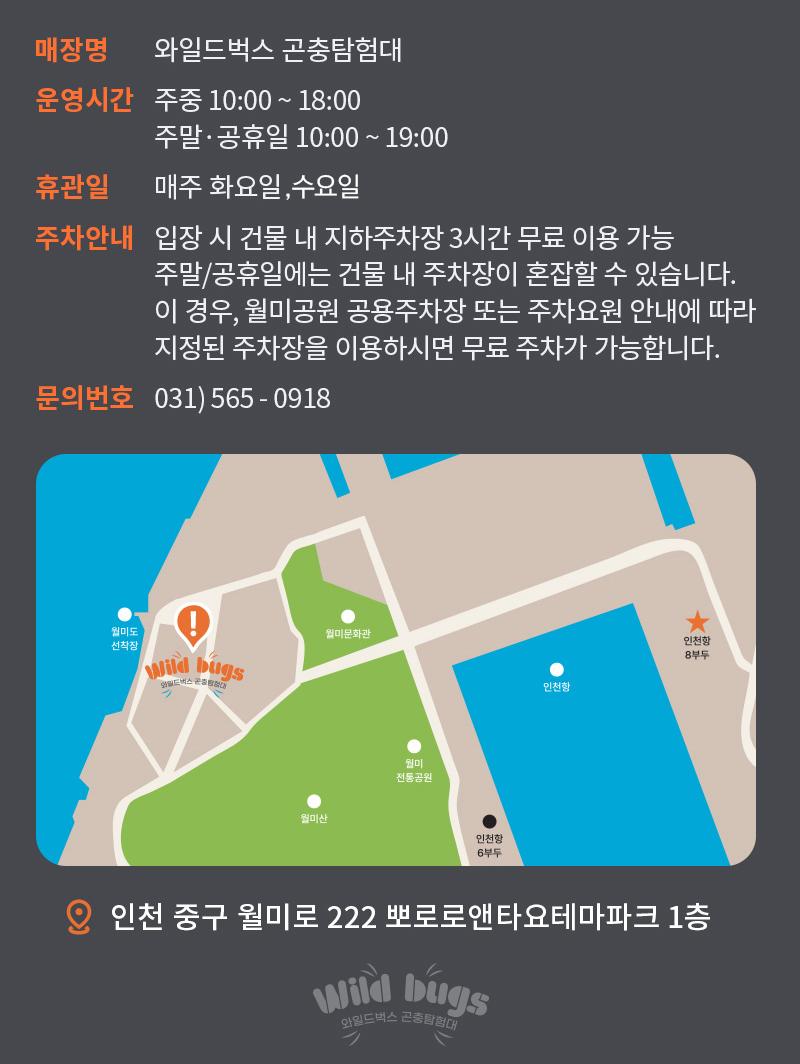 상품 상세 이미지 10