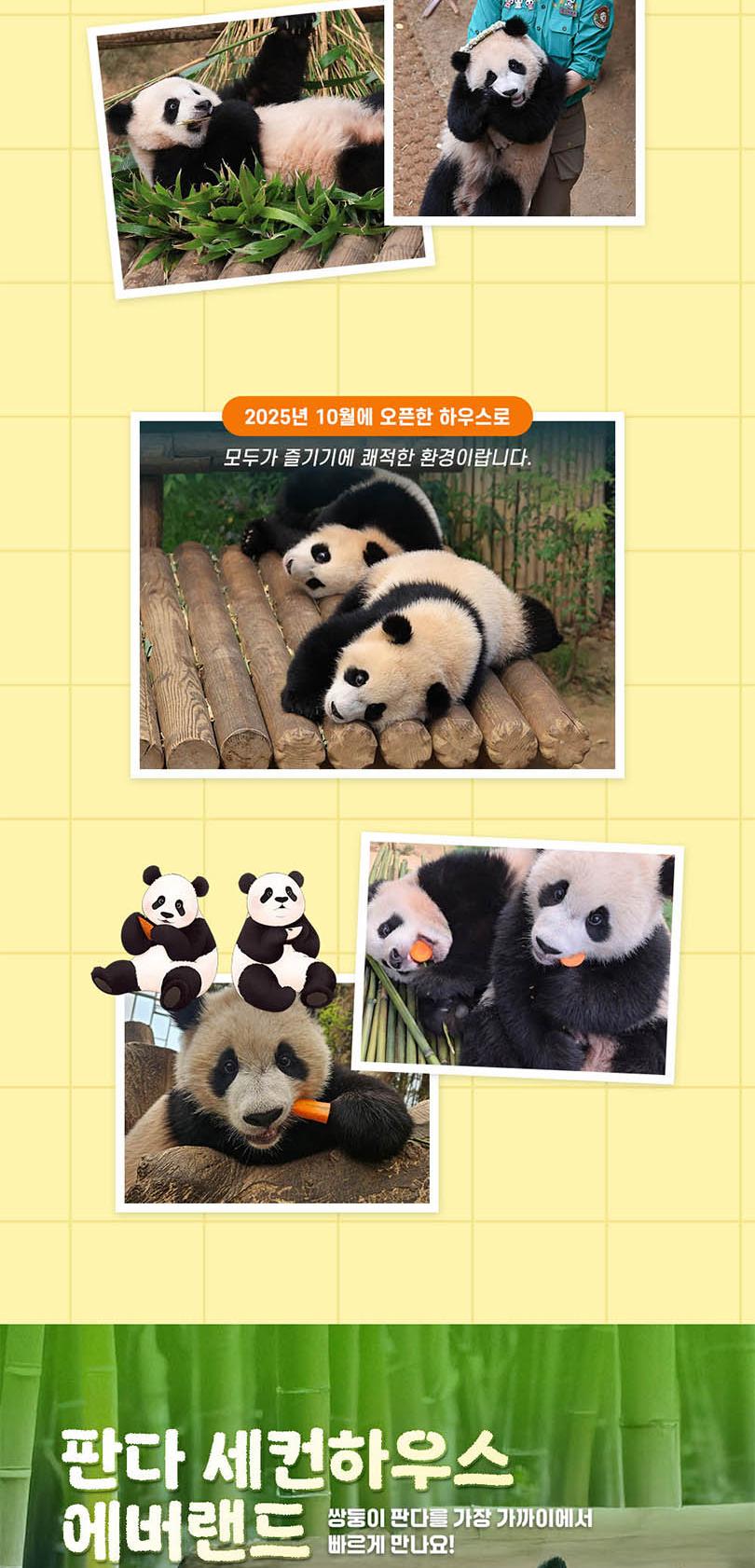 상품 상세 이미지 6