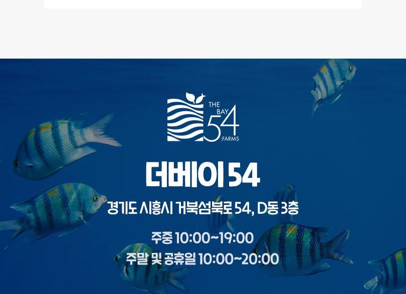 시흥 거북섬 더베이54 아쿠아리움 체험형 관상어 테마파크