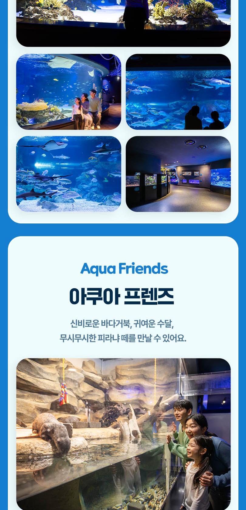 [광교] 아쿠아플라넷 입장권(11/1~11/30)