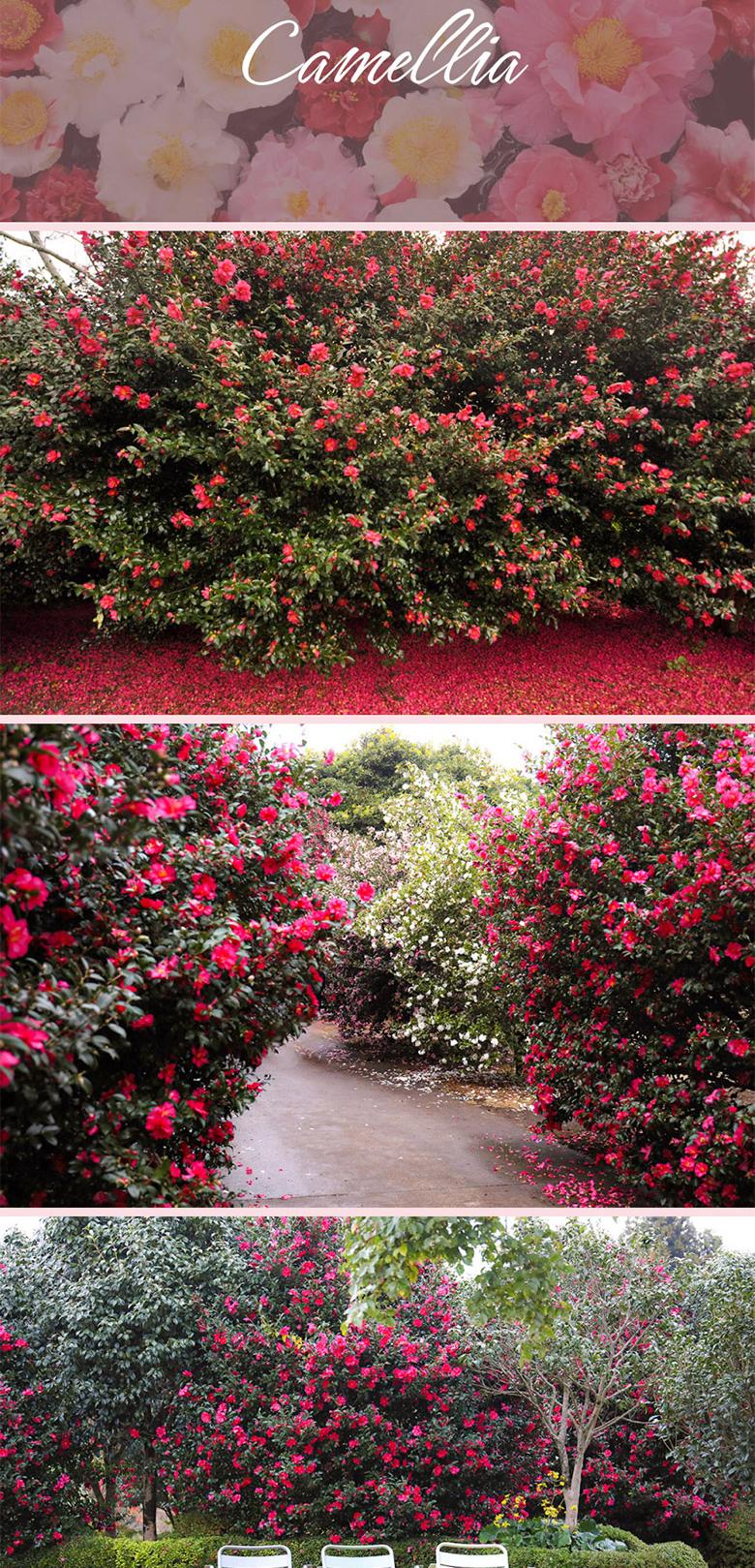 상품 상세 이미지 7