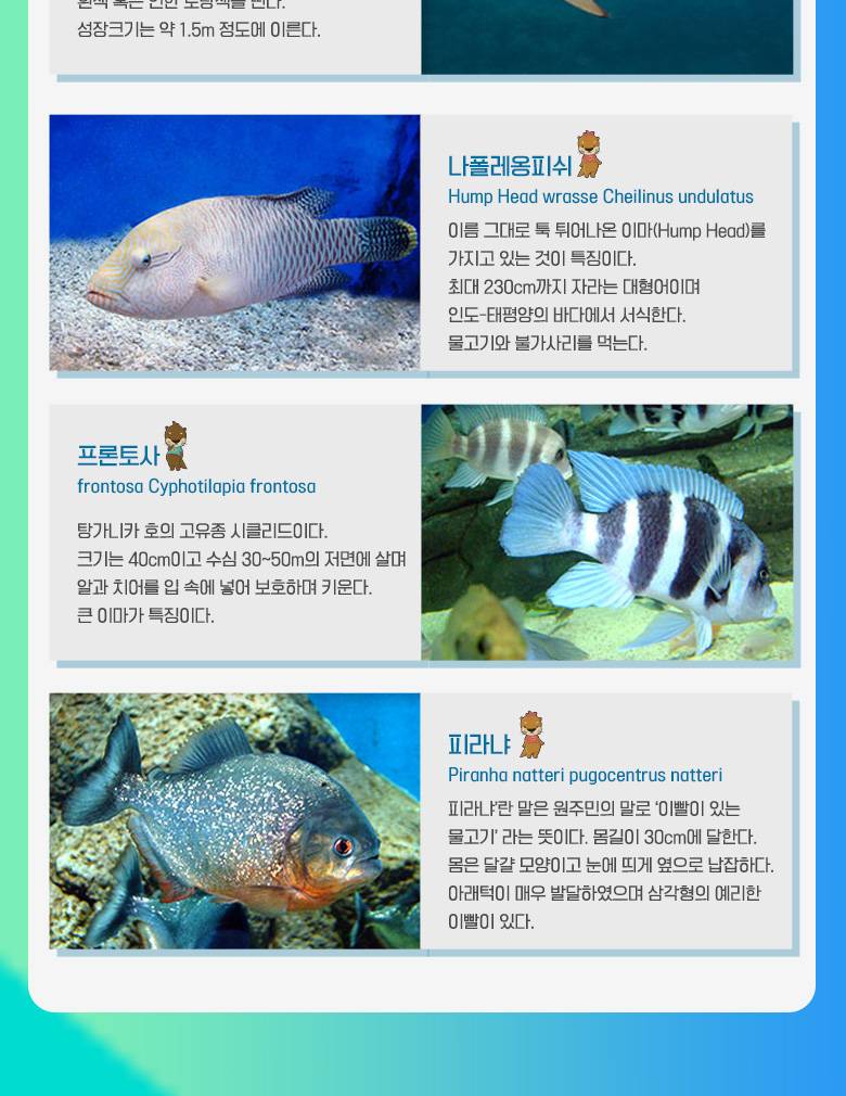 상품 상세 이미지 4