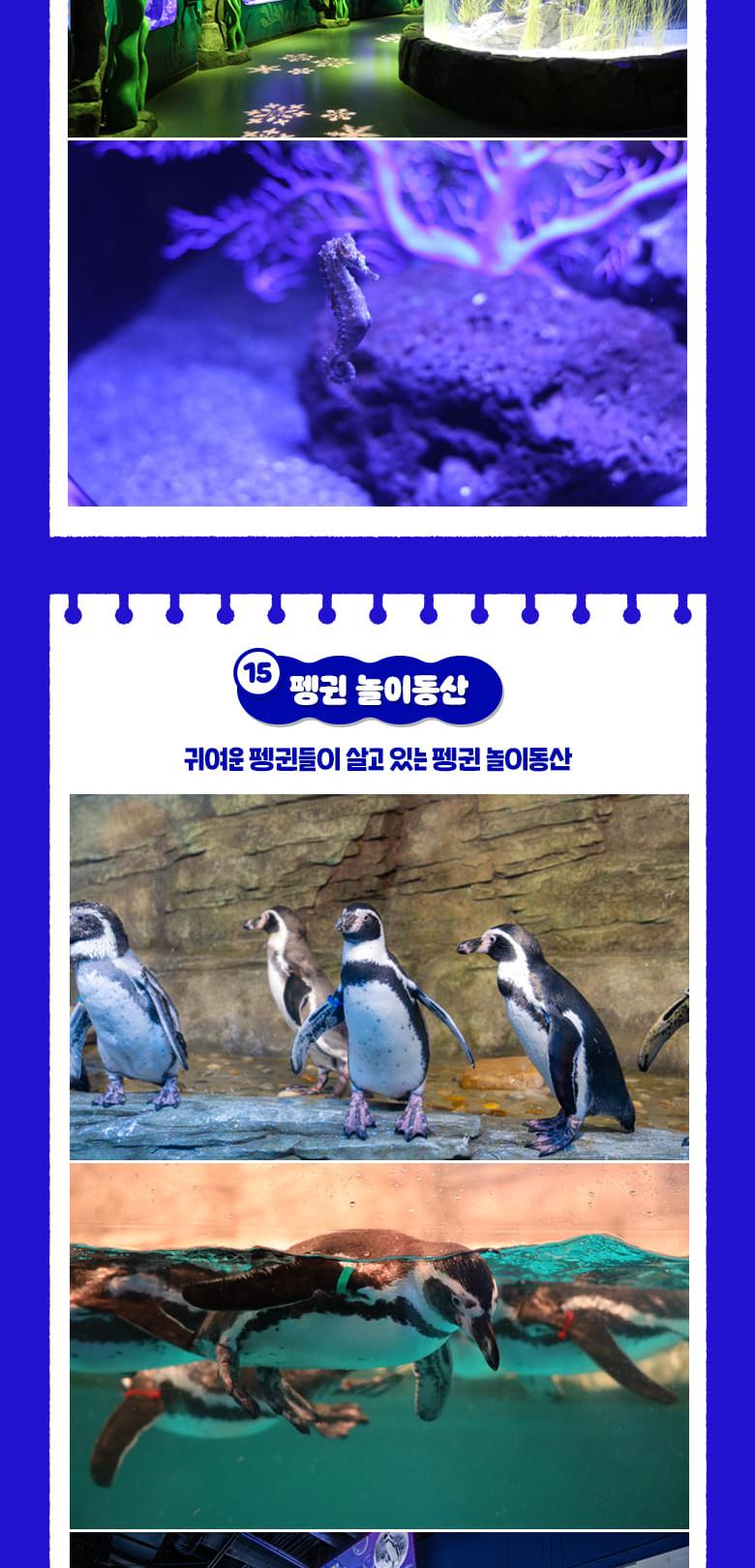 상품 상세 이미지 19
