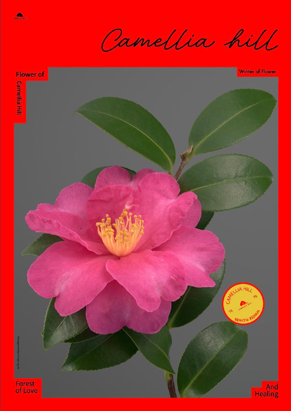 상품 상세 이미지 2