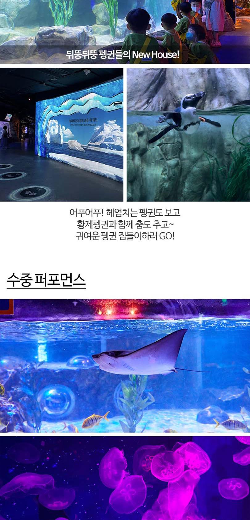 상품 상세 이미지 14