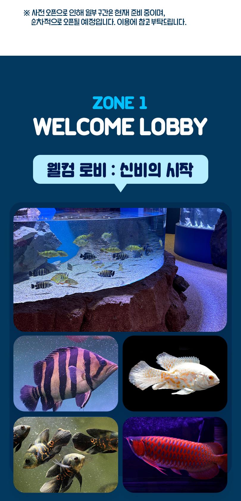 상품 상세 이미지 5