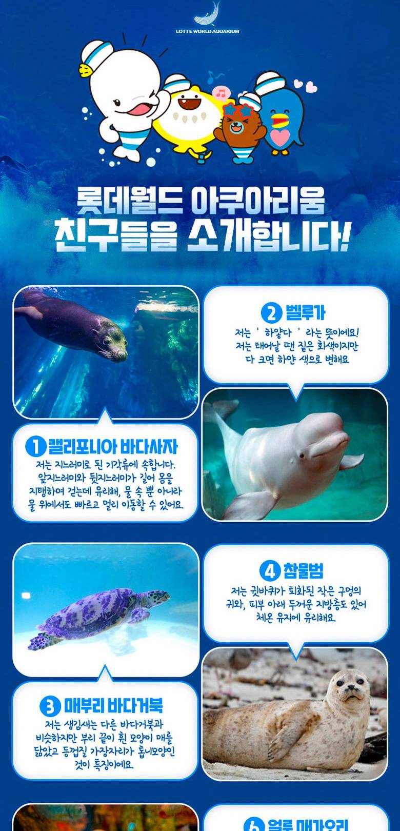 상품 상세 이미지 6